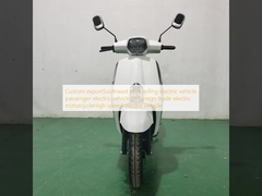 Custom exportSoutheast Asia selling electric vehicle passenger electric vehicle to foreign trade electric motorcycleHigh-speed electric vehicle