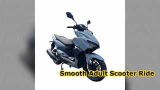 Adult Scooter Smooth Ride HH TBMT12