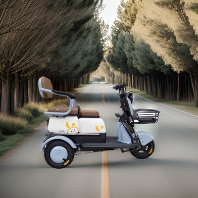 Safest 1000w 3 wheel tricycle electric adult with lithium battery