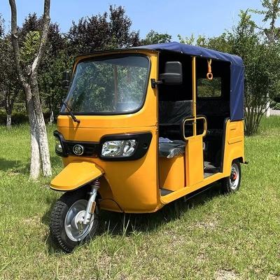 Electric passenger tricycle explosion tricycle cycling tricycle