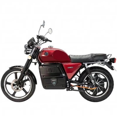 Export two-wheeled electric vehicles electric motorcycles mountain off-road motorcycles oil to electric motorcycles